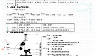 初中生物知识点总结