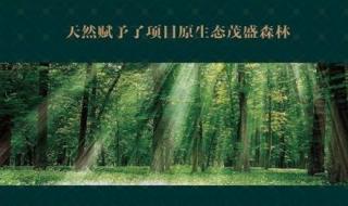 杨柳青森林公园