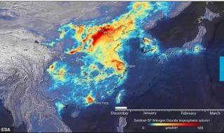 迈克尔杰克逊拯救地球